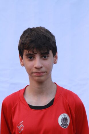 بردیا سنبلاتی