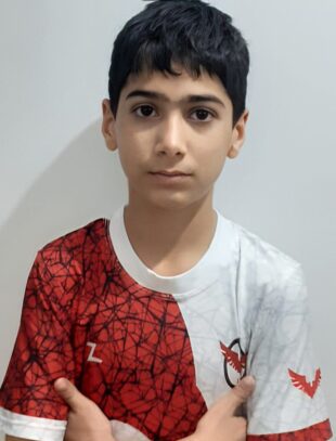 عرشیا موسوی