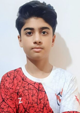 آریا حاجی زاده