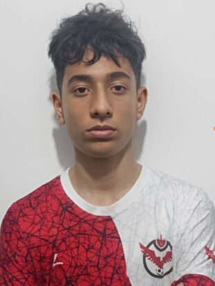 علیرضا شیر نژاد