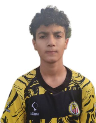 محمد رضا میرورازگاهی