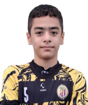 ابوالفضل نصر بالایی