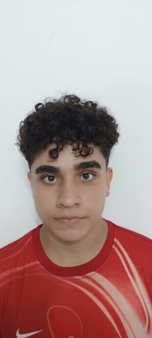 امیرحسین مالوفی