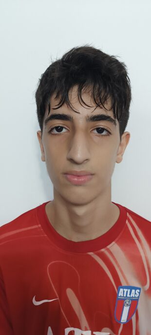 محمدرضا پرتوی پیش حصاری