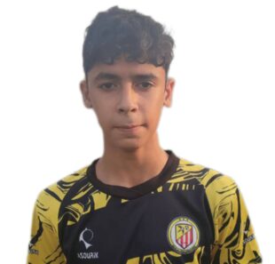 علی رضا محمودی