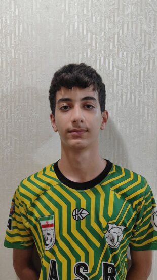 محمدحسین میرعباسی