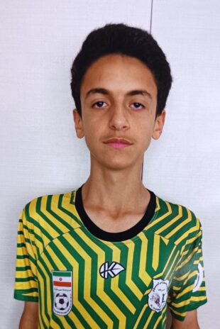 محمدصدرا صفائی