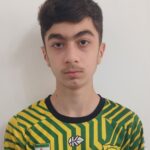 علی جمالزاده