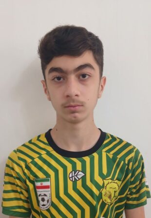 علی جمالزاده