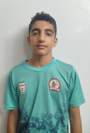 محمدحسین شهیدی مقدم