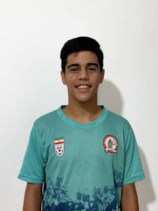 محمدمهدی محمودی