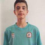 مجتبی بهاری