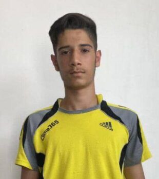 محمدحسین تقی زاده