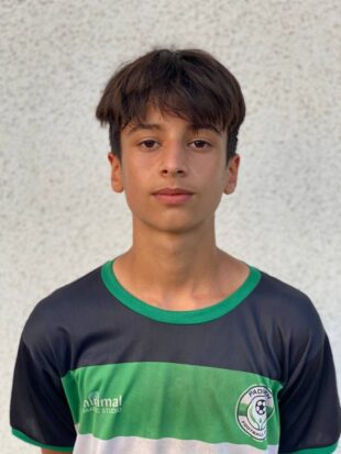 محمد صالح حسنی