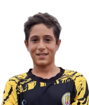 امیرعلی جوقه دوست