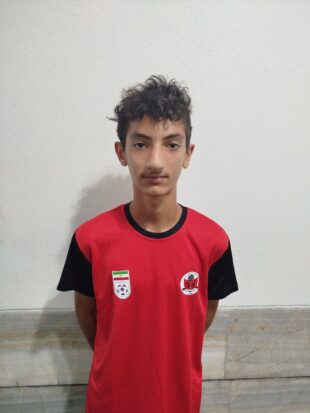 محمد مهدی بخشی پور