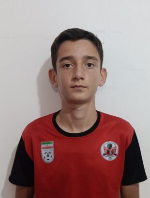 محمدحسام مهرگان فرد