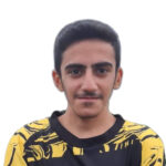 امیرعباس کوثری