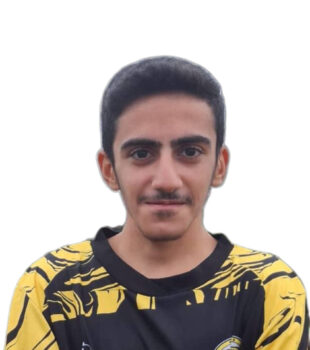 امیرعباس کوثری