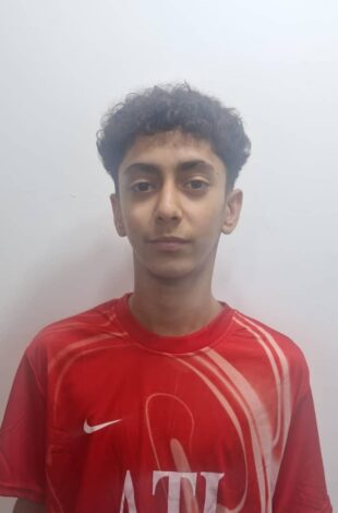 آرتین تقی زاده