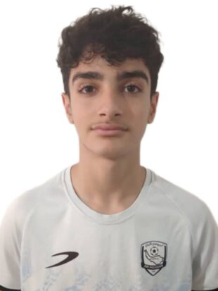 محمدمهدی احمدی