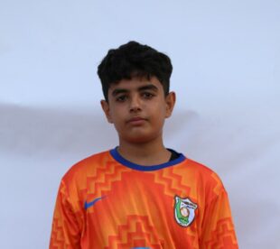 احمد حسین ولی پور