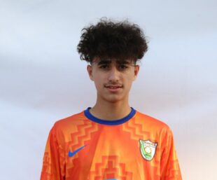 امیر عباس عینی