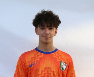 امیر حسین فکری