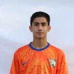 محمد علی موحدی