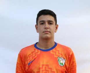 آروین قدرتی