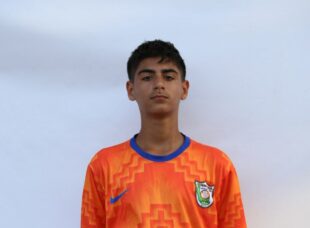 محمد پارسا یوسفی بوئینی