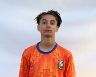 امیر عباس تدین شاوون