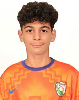 امیر محمد ملاپور