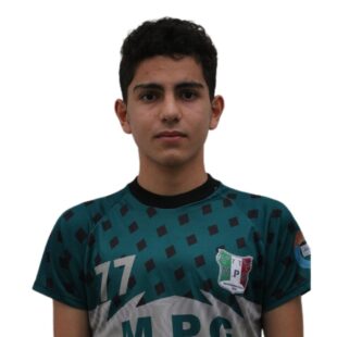 محمد طاها بشکول