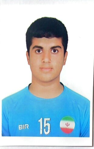 علی صورتی بهدانی