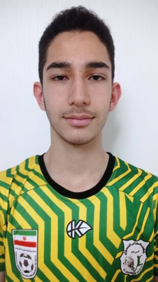 امیرعلی قلی نیا