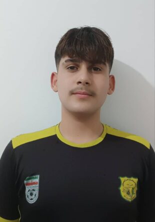 محمد یوسف پور