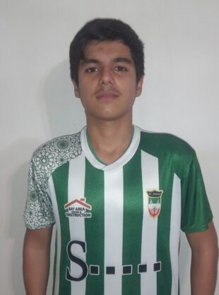 محمدطاها حامدی