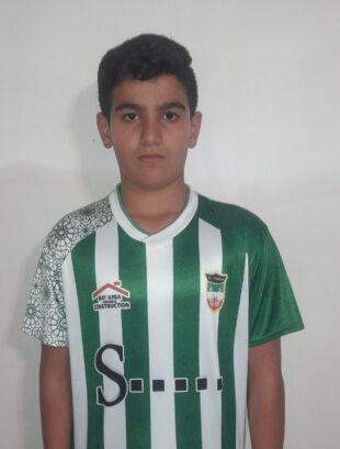 مهدی میرزائی