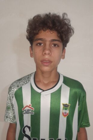 پرهام خداویردی