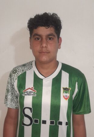 پارسا فرد مقدم