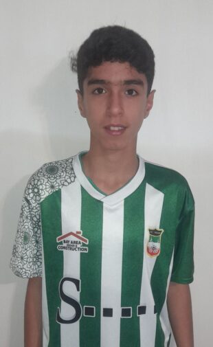 اردلان آقا بزرگی