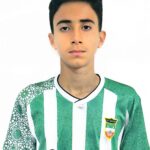 پارسا حسینی