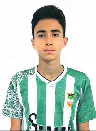 پارسا حسینی