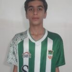 مهدی زبردست