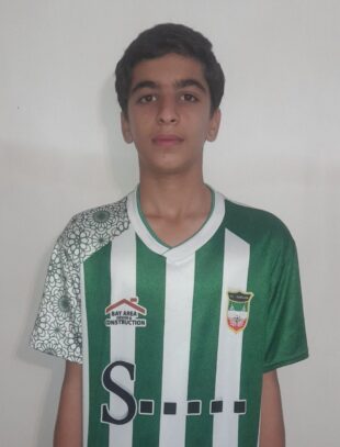 مهدی زبردست