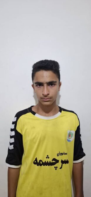 ماهان امینی