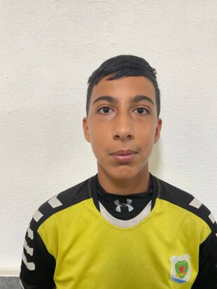 امیرمحمد نظرپور