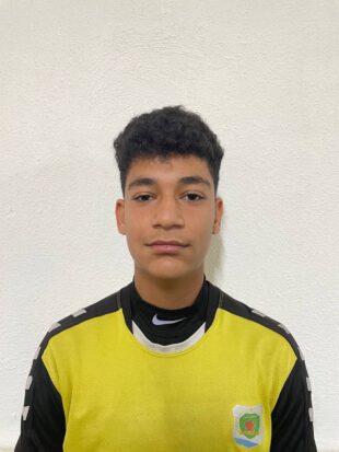 محمدحسین کوچک گرفمی