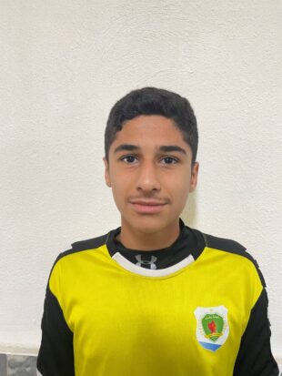 ایلیا علاقه مند